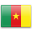 tekebazil